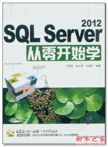 SQL Server 2012从零开始学 (王英英,张少军) 高清PDF扫描版[188M]