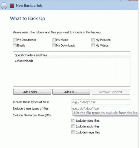 文件同步备份工具(NCH FileFort Backup) v3.29 注册英文安装版