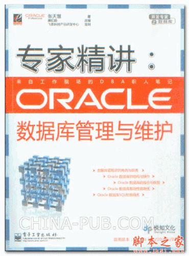 专家精讲Oracle数据库管理与维护 (张天慧) 高清PDF扫描版 110M