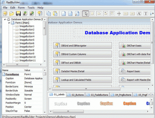 Longtion RadBuilder(rad开发工具) v4.6.0.480 官方特别版