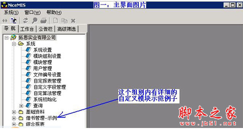 NiceMIS(信息系统开发工具) v5.56 安装版