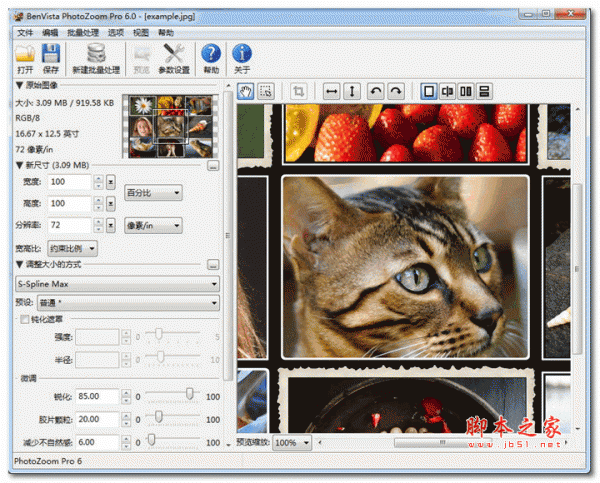 Benvista PhotoZoom Pro(图片无损放大软件) V6.0 官方安装特别版