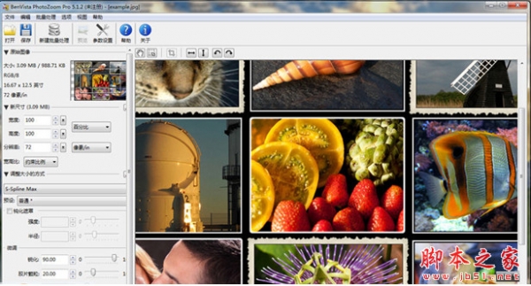 Benvista PhotoZoom Pro(图片放大不失真软件) v7.1 中文安装特别版(附注册机)