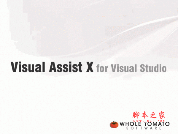 Visual Assist X V10.8.2048.0 官方原版