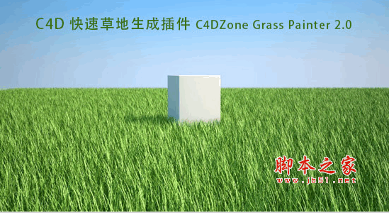 C4D草地快速生长插件(C4DZone Grass Painter) v2.0 官方最新版