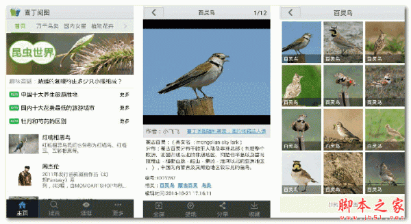 喜丁阅图 for android v1.4.02.22 安卓版