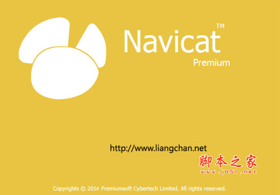 Navicat Premium(数据库管理工具) v11.2.7 64位 简体中文特别版+