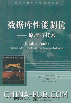 数据库性能调优：原理与技术 PDF扫描版[14MB]