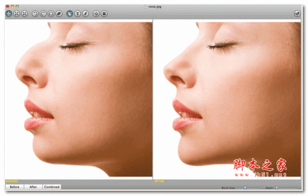 整容模拟器(Virtual Plastic Surgery Software) v1.0.0.1667 多语官方安装版