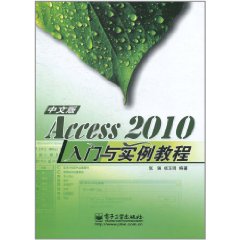 Access 2010中文版入门与实例教程 PDF扫描版[36MB]