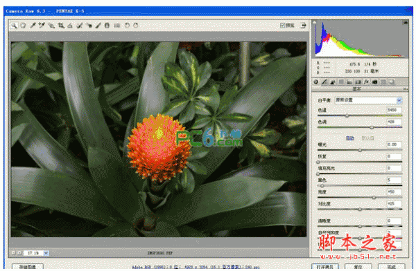 raw格式编辑软件(camera raw) v7.1 免费中文版