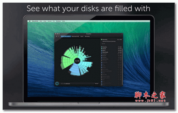 磁盘清理工具(DaisyDisk) for Mac V4.30 苹果电脑版