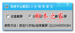 飞度专业截图 v1.0 绿色版