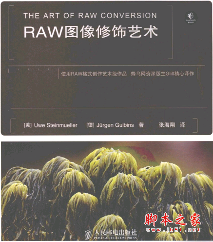 RAW图像修饰艺术 PDF扫描版[48MB]