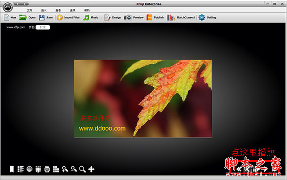 XFlip Enterprise(电子杂志制作软件) v2.0.5 中文汉化安装特别版