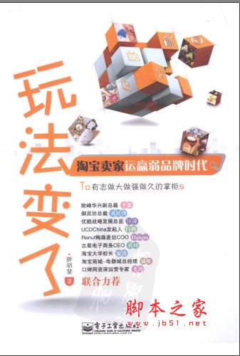 玩法变了—淘宝卖家运赢弱品牌时代 PDF扫描版[11MB]