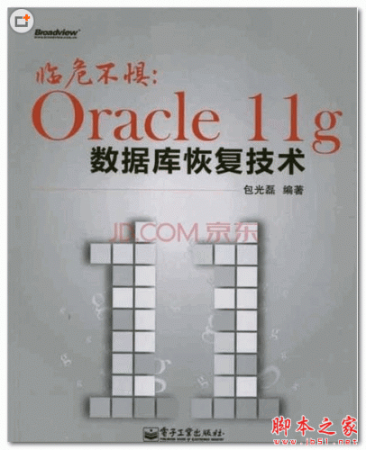 临危不惧Oracle 11g数据库恢复技术 (包光磊)  PDF扫描版 93.9MB