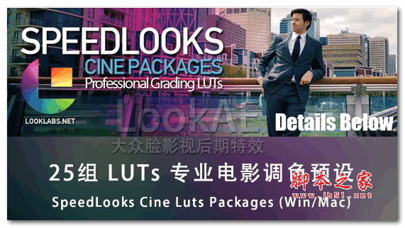 25组LUTs专业电影调色预设(SpeedLooks Cine Luts Packages)