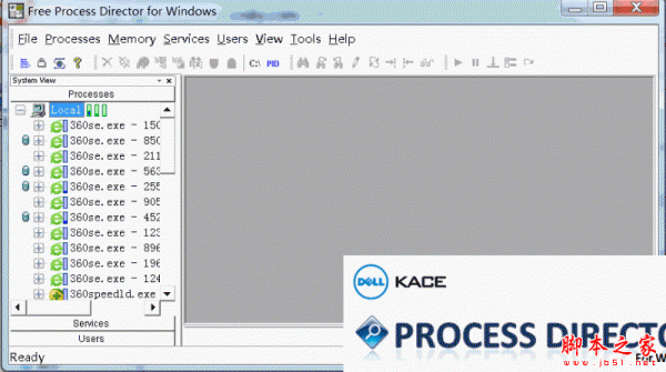 Free Process Director(进程分析诊断工具) v1.00.0006 免费安装版