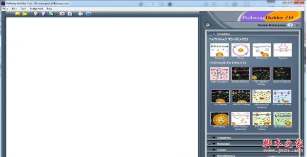 pathway builder tool(信号通路作图软件) 2.0 免费绿色特别版