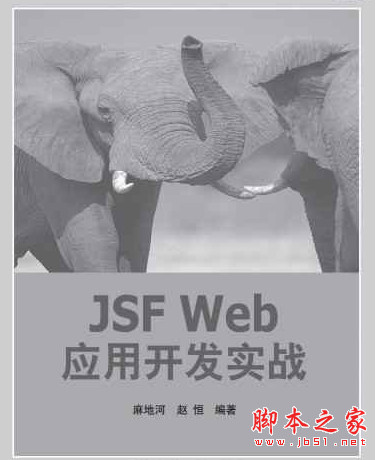 JSF Web应用开发实战 中文pdf扫描版[17MB]