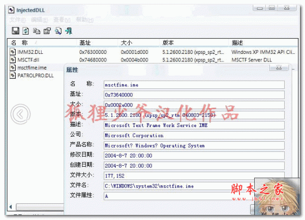 InjectedDLL(监视可疑的 DLL) V1.00 汉化安装版