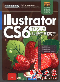 Illustrator CS6中文版从新手到高手(全彩版) pdf扫描版[174MB]