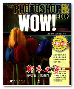 Photoshop.CS.CS2.WOW!BOOK(中文版) (戴顿) 中文PDF版 111MB