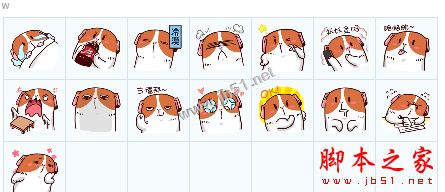 阿条薯薯QQ表情包 15P 免费版