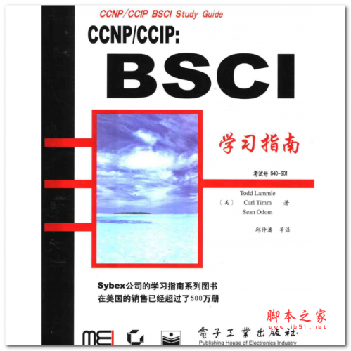 CCNP/CCIP:BSCI学习指南 中文PDF版 11.8MB