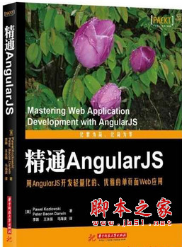 精通AngularJS (美.科兹洛夫斯基著) 中文pdf扫描版[43MB]