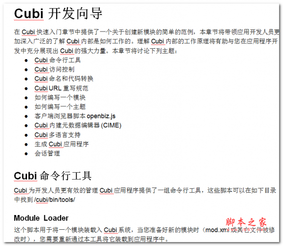 Openbiz Cubi 快速应用开发向导 中文WORD版