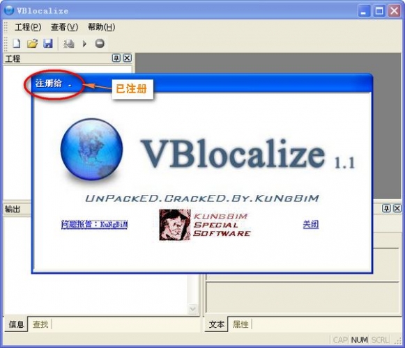 VBLocalize v1.1(VB程序汉化软件)中文汉化绿色特别版 去除试用版