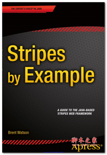 Stripes by Example(Brent Watson) 英文PDF版 4.91MB
