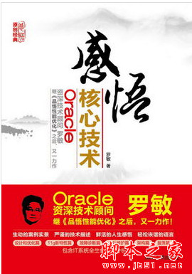 感悟Oracle核心技术 (罗敏著) PDF扫描版[133MB]