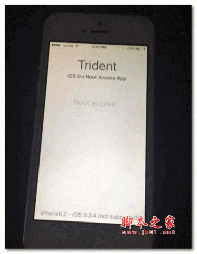 iOS 32位设备降级工具(Trident) 2017  Win版