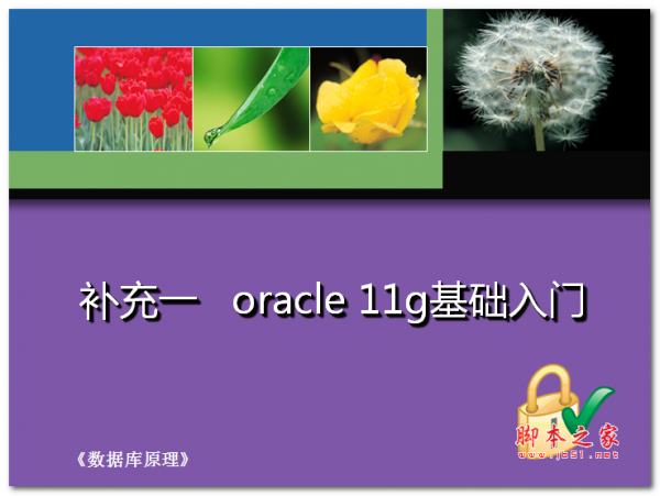 oracle 11g基础入门 中文PPT版