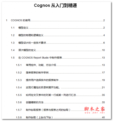 Cognos从入门到精通 中文WORD版 2.81MB