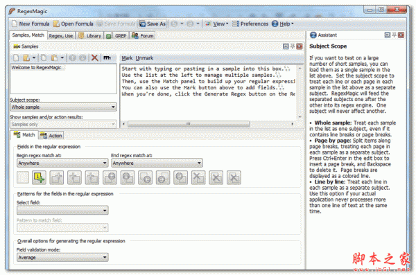 RegexMagic(正则表达式工具) v2.6.0.8 完美汉化安装版