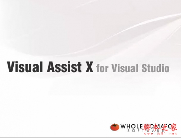 Visual Assist X V10.9.2074.0 通用破解补丁 v1.2 汉化绿色版(附官方原版)