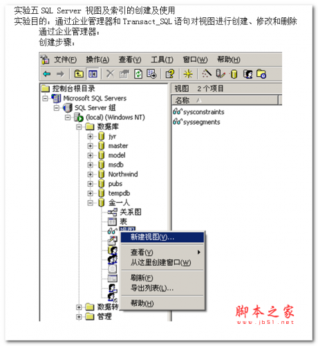 SQL Server 视图及索引的创建及使用 中文WORD版