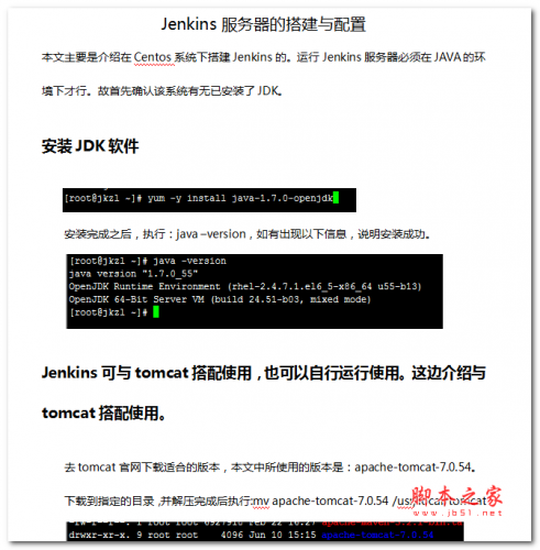 Jenkins服务器的搭建与配置 WORD版