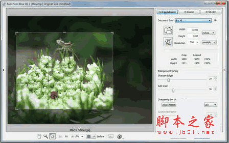 Alien Skin Blow Up 3(ps无损放大插件) v3.1.4.404 免费特别版(附注册机)