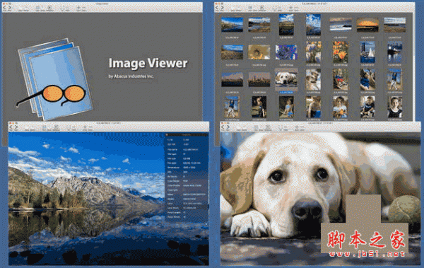 Image Viewer For Mac(图片浏览器) v2.0 苹果电脑版