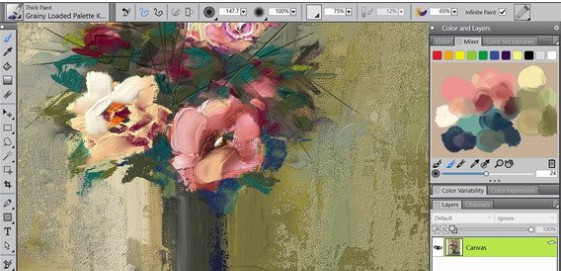 Corel Painter(绘画软件)for Mac 2018 官方正式版(附注册机) 苹果电脑版 64位