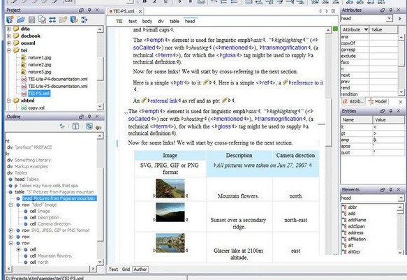 oXygen XML Editor for Mac 18.1 官方苹果电脑特别版(附破解文件)