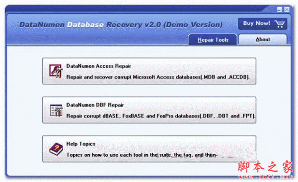 数据库文件恢复软件(DataNumen Database Recovery) v2.4.0.0 官方安装版