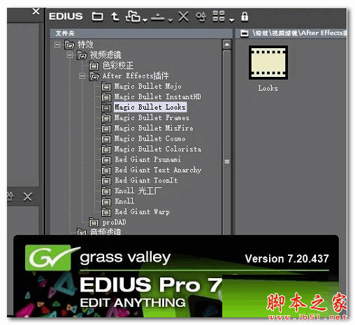 Edius Looks插件(Edius调色工具) V7.5 最新免费版