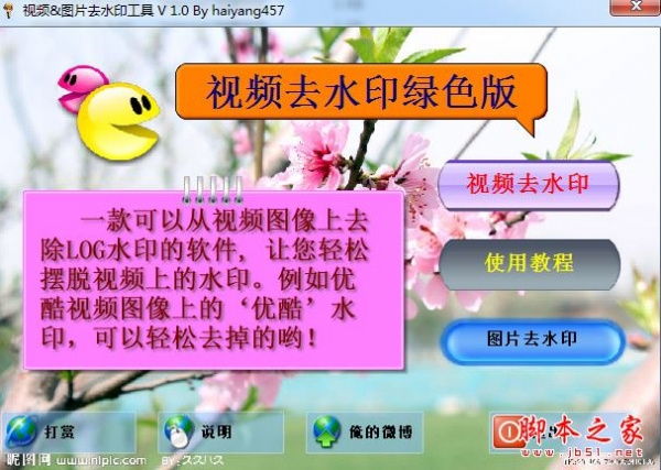 视频图片去水印软件 V1.0 免费中文绿色版 