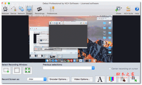 Debut Professional for Mac 视频捕获软件 v10.01 苹果电脑版
